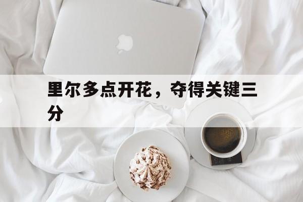 里尔多点开花，夺得关键三分的简单介绍